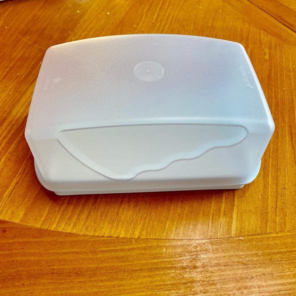 Light Blue Tupperware Double Butter Dish